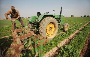 رییس جهاد کشاورزی خوزستان حامی کشاورزان نیست / محصول کشاورزان مشتری ندارد / فکری بکنید