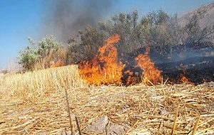 وقوع آتش سوزی در علفزار‌های خشک اطراف رودخانه دز