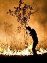 مهار شدن آتش در جنگل های شمال دزفول