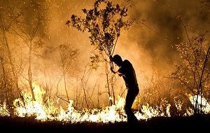 مهار شدن آتش در جنگل های شمال دزفول
