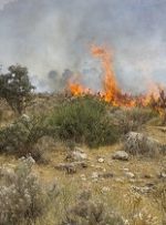 مهار آتش سوزی در جنگل سوم شعبان