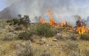 مهار آتش سوزی در جنگل سوم شعبان