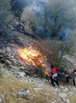 مهار آتش در جنگل های بهبهان و مسجد سلیمان
