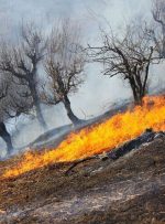 مهار شدن آتش سوزی در منطقه حفاظت‌شده مسجدسلیمان