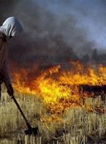 آتش زدن زمین کشاورزی جرم محسوب می شود