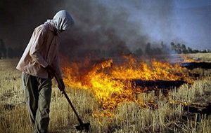 آتش زدن زمین کشاورزی جرم محسوب می شود