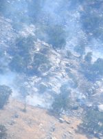 مهار شدن ۹۵ درصدی آتش سوزی منطقه حفاظت شده شیمبار در خوزستان