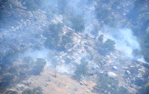 مهار شدن ۹۵ درصدی آتش سوزی منطقه حفاظت شده شیمبار در خوزستان