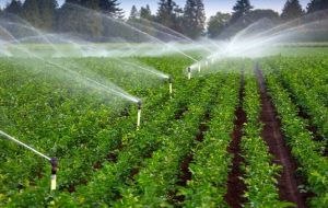 افزایش ۴۳ درصدی بهره وری آب کشاورزی در خوزستان