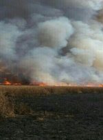 آتش‌سوزی در مراتع تالاب میانگران شهرستان ایذه