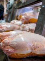 ادامه توزیع مرغ منجمد در خوزستان / برنامه‌ای برای توزیع گوشت سرد نداریم