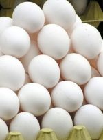 مشکلات بازار در تأمین روغن و تخم‌مرغ