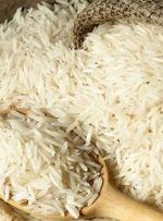 برنج محلی رقیب خارجی‌ها شده است