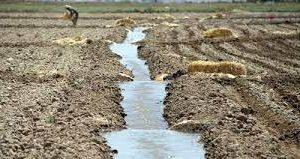 آب باید بین کشاورزان و صنایع نیشکر به طور مساوی تقسیم شود