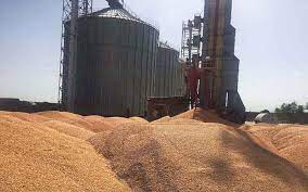 نخستین محموله‌ گندم و کلزا به سیلوهای خوزستان انتقال یافت