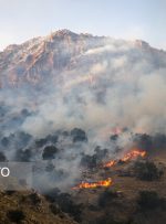 آتش‌سوزی در مناطق کوهستانی باغملک