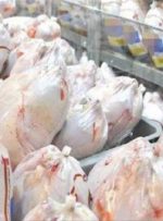 اینجا قیمت مرغ را میزان “وجدان” فروشنده تعیین می‌کند!