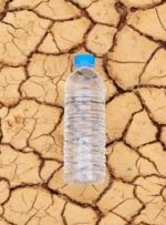 نگرانی دوباره از بحران آب شرب و نخیلات در خوزستان