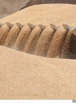 امکان ذخیره‌سازی کل گندم برداشت‌شده در خوزستان وجود دارد