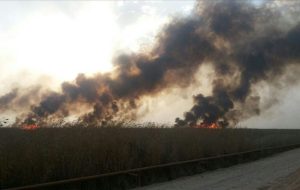 خودسوزی تالاب در نزدیکی عراق همچنان ادامه دارد و مهار آن نیازمند همکاری کشور عراق است