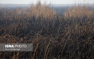 خودسوزی هورالعظیم و دود همچنان ادامه دارد