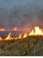 آتش زدن مزارع باعث آلودگی شدید هوا می شود و انجام این کار ممنوع است