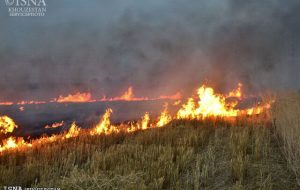 آتش زدن مزارع باعث آلودگی شدید هوا می شود و انجام این کار ممنوع است