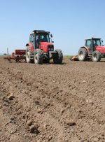 آغاز کشت دیم همزمان با بارندگی پاییزه