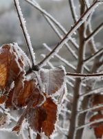 احتمال یخ زدگی و سرمای شدید در بعضی از نقاط خوزستان