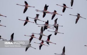 هوای سه شهر خوزستان در وضعیت پاک قرار دارند