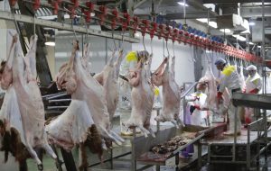 شهروندان در زمان خرید گوشت قرمز به وجود مهر و برچسب بهداشتی دقت کنند