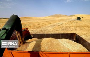 تلاش در جهت پرداخت مطالبات گندمکاران در کوتاه ترین زمان ممکن