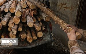 پرداخت جزای نقدی برایم متخلفان قاچاق چوب در اهواز