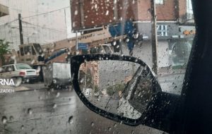 قطع درختان خطرناک که هنگام بارندگی برای شبکه ی برق مشکل ایجاد می کنند